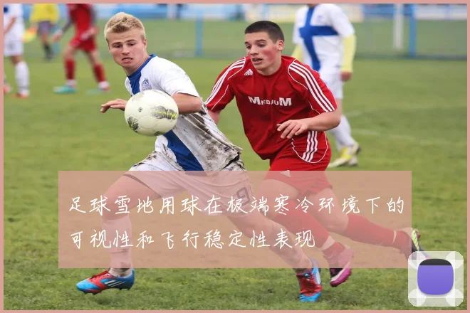 足球雪地用球在极端寒冷环境下的可视性和飞行稳定性表现